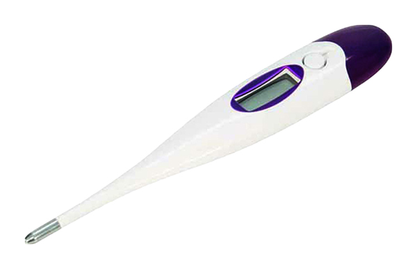 Термометр электронный Kerbl