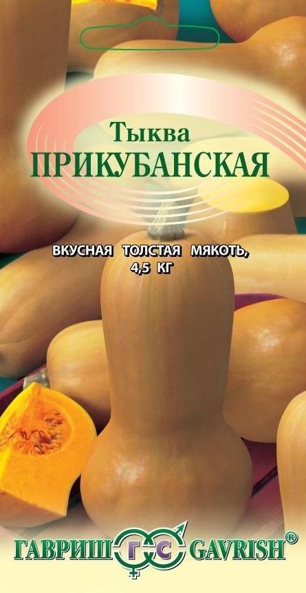 

Семена. Тыква "Прикубанская" (вес: 2,0 г)