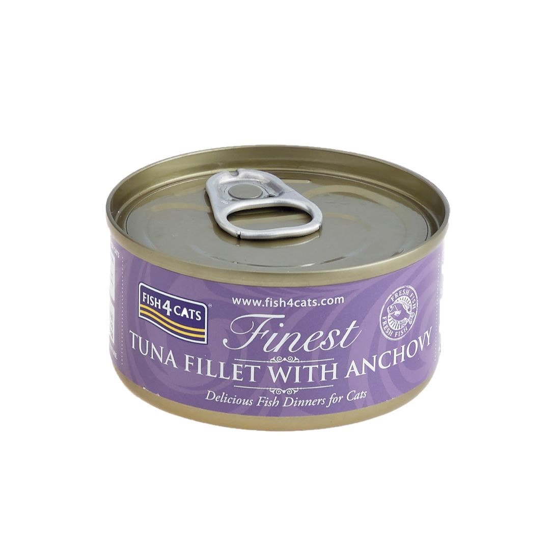 Fish cat 4. Tuna fillet консервы. Анчоусы тунец филе. Tuna Fish delicious.