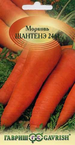 

Семена. Морковь "Шантанэ 2461" (вес: 2,0 г)