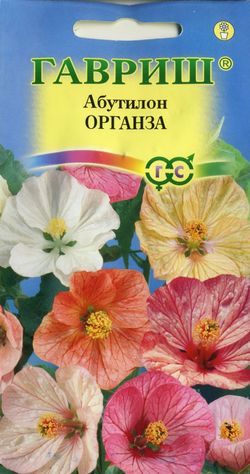 

Семена цветов Гавриш Абутилон Органза смесь Н10 10 шт.