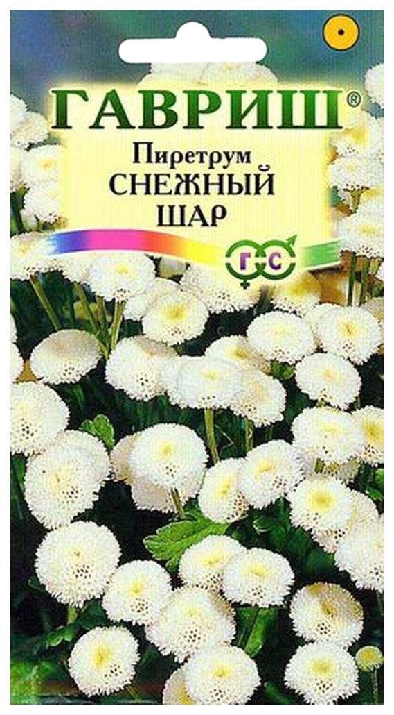 Купить Семена Пиретрума В Интернет Магазине