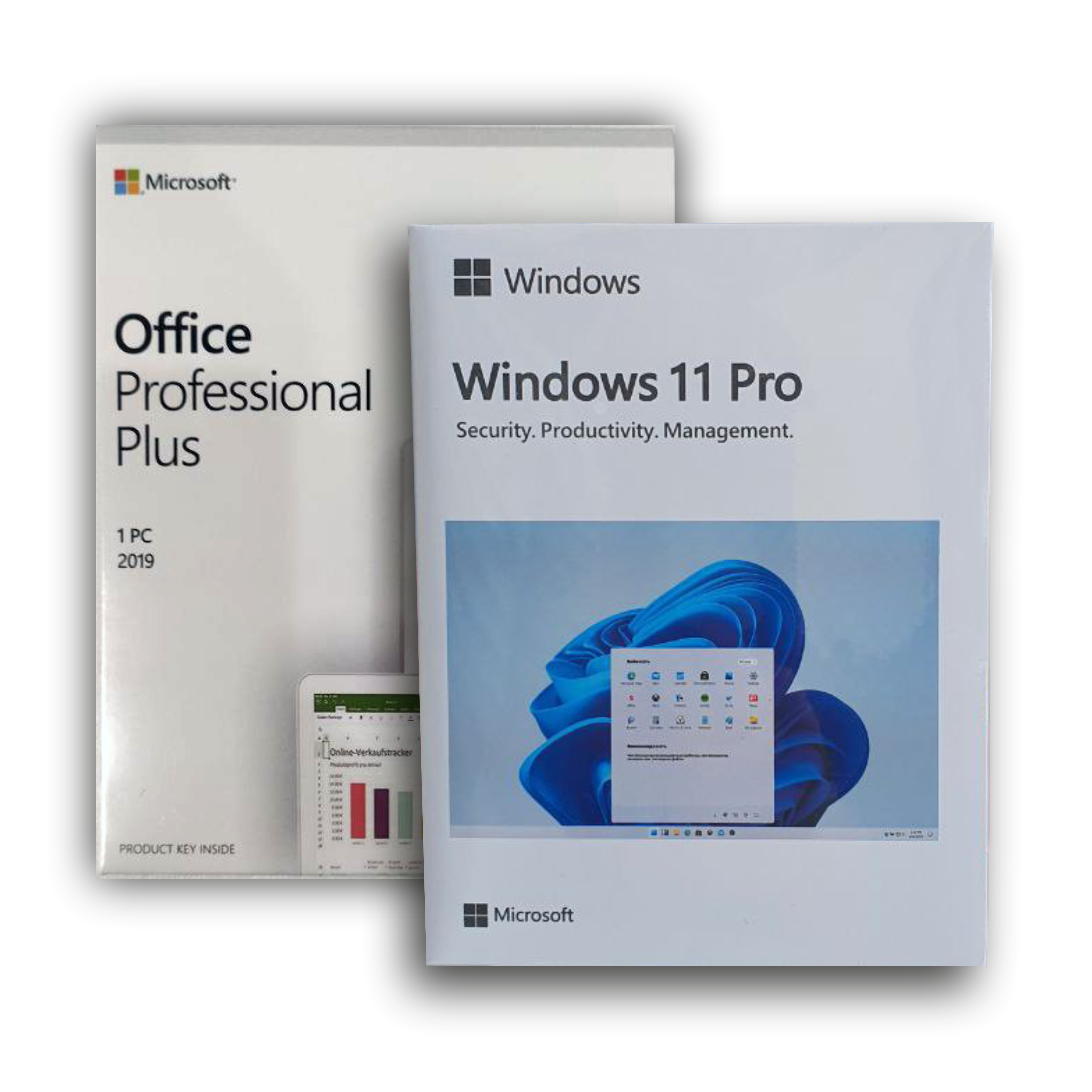 Microsoft Windows 11 Pro Box + Office 2019 Pro plus Box