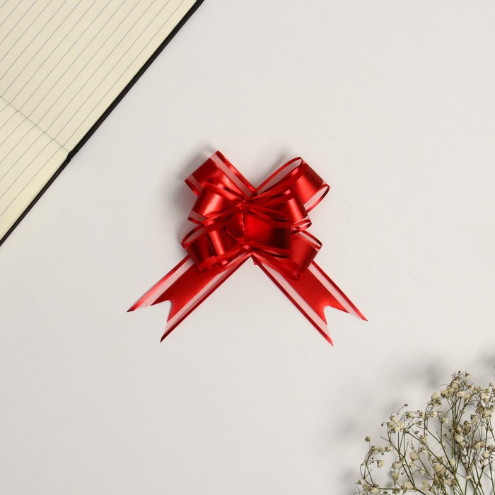 

Бант-бабочка №3 3CM*50CM (10 шт), Красный