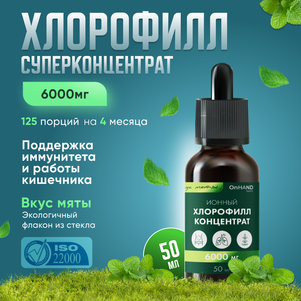 Хлорофилл J-Joy OnHand Health, концентрат, мята, 50 мл