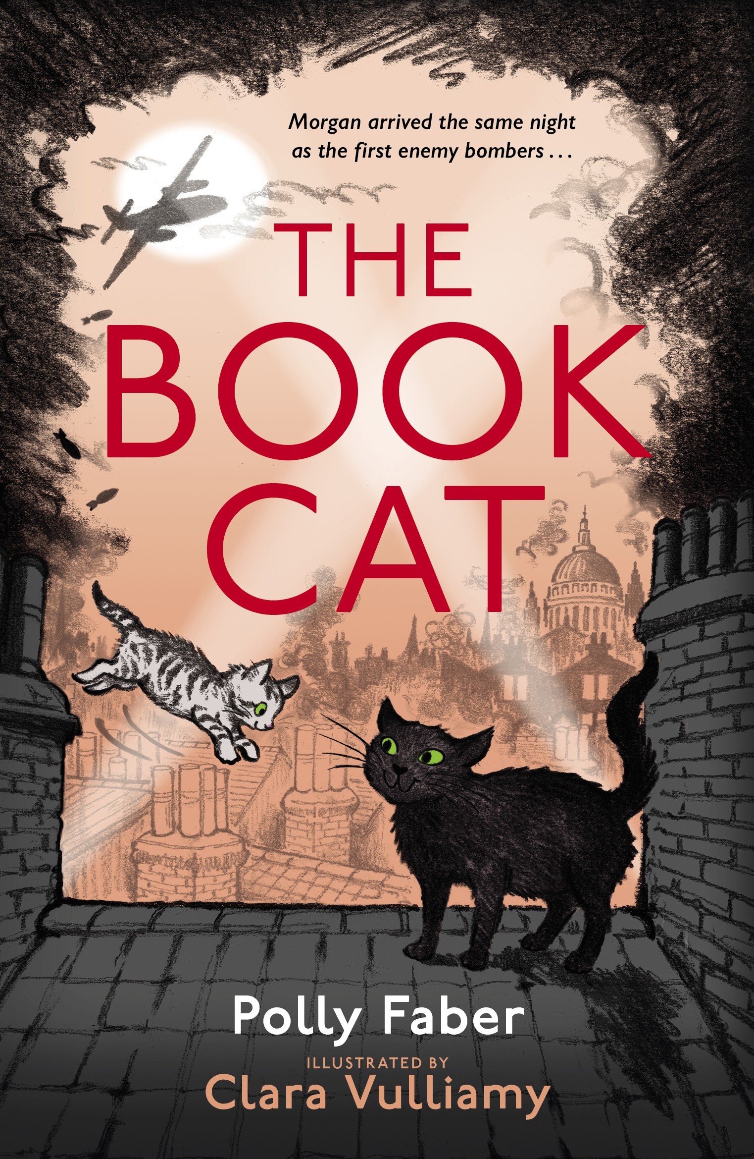 

The Book Cat