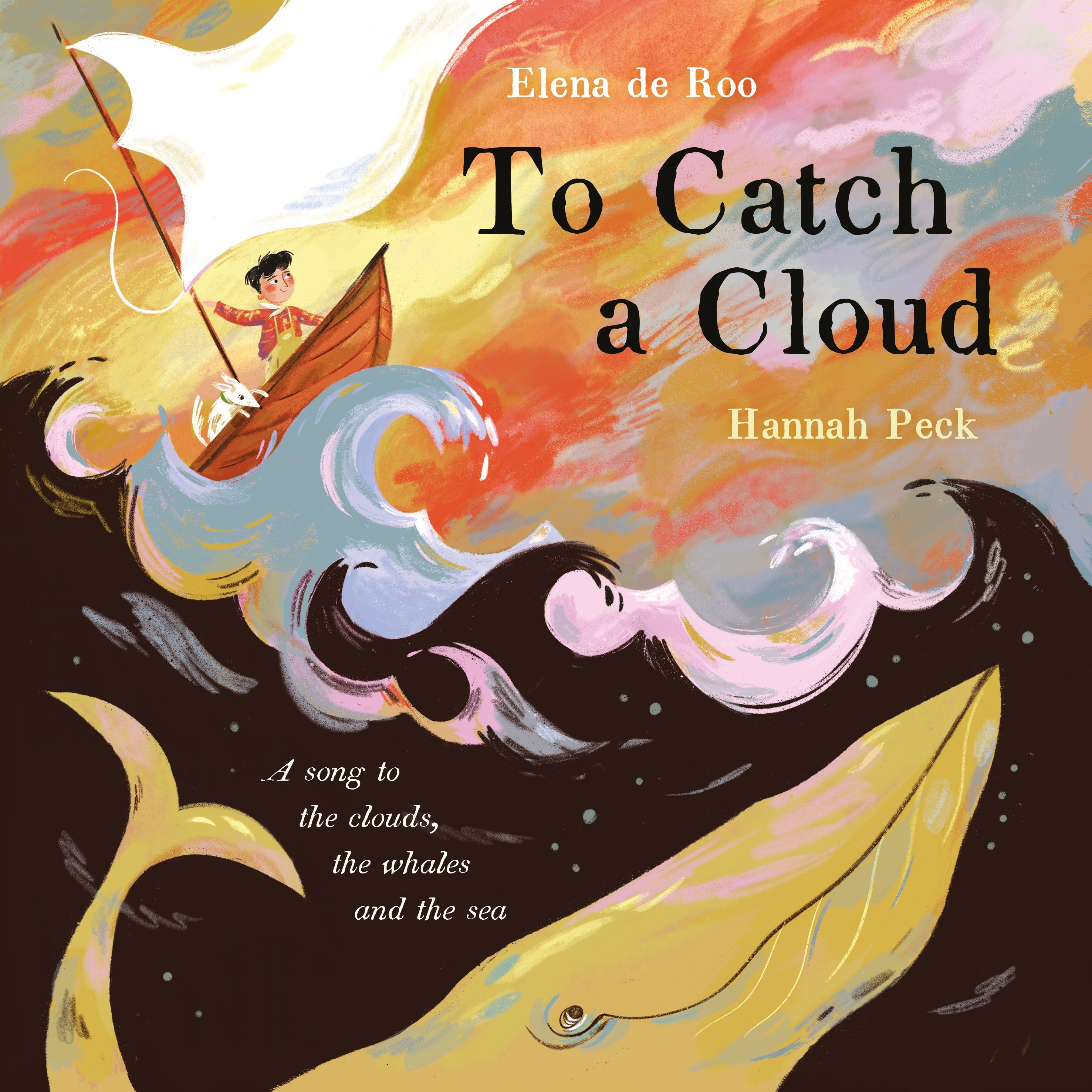 

To Catch A Cloud