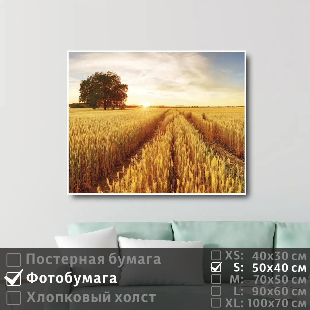 

Постер на фотобумаге ПолиЦентр Восход солнца над пшеничным полем 50х40 см, ВосходСолнцаНадПшеничнымПолем