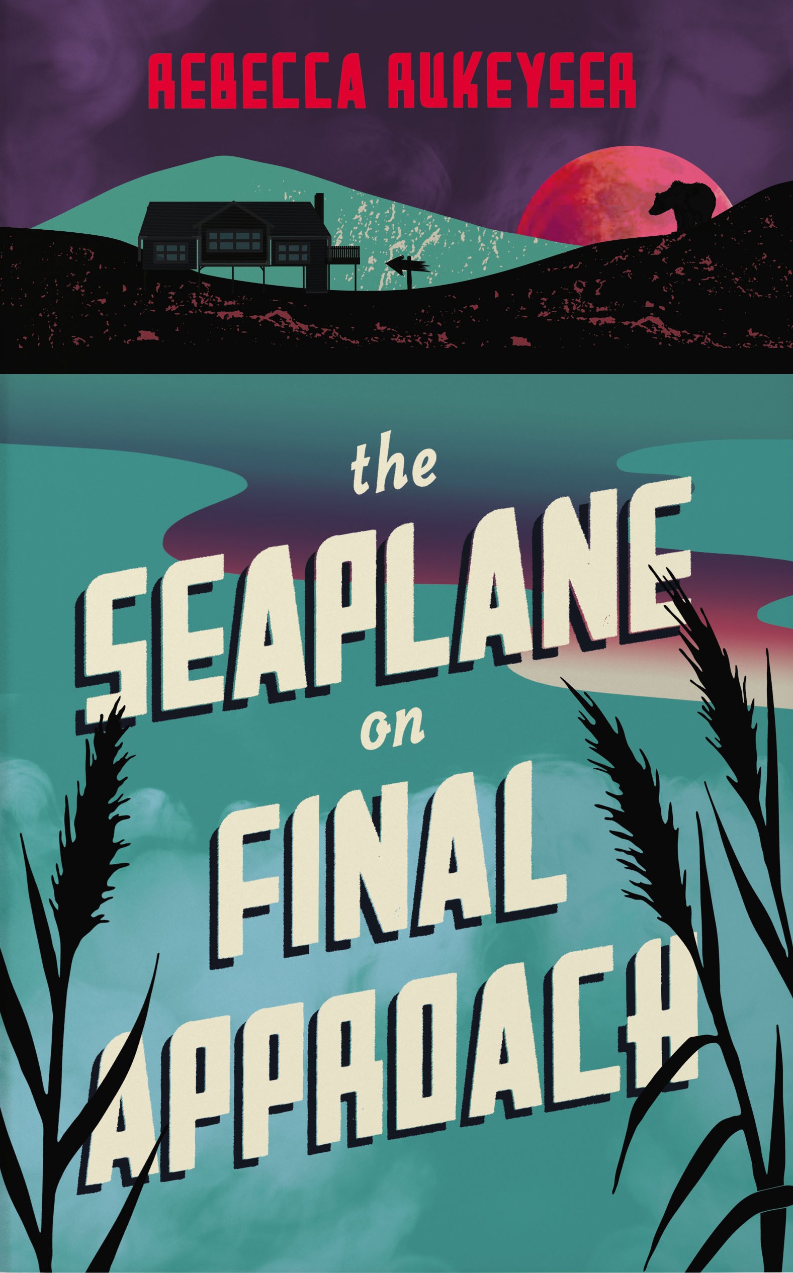 

The Seaplane on Final Approach