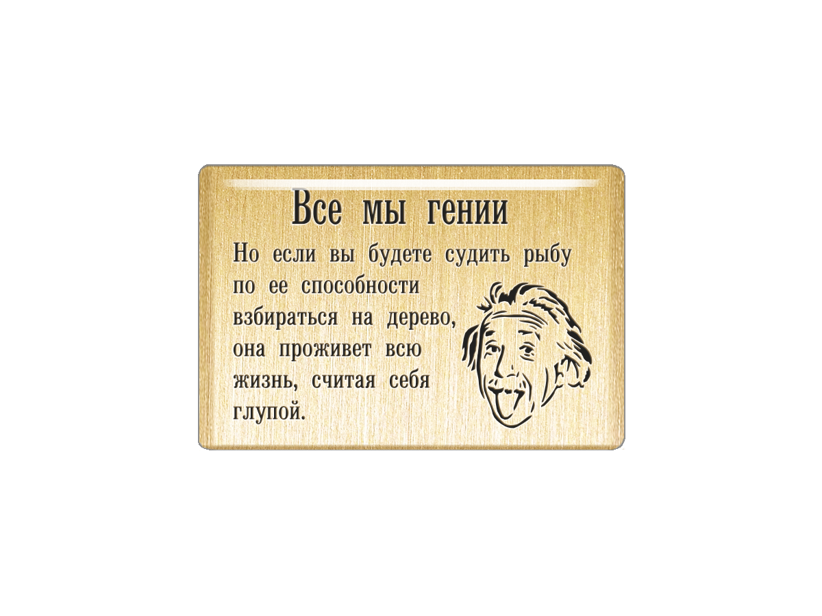 

Магнит Все мы гении, Т18.215.02.00