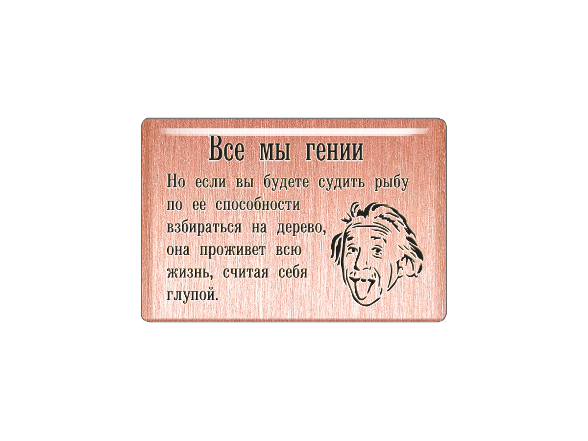 

Магнит Все мы гении, Т18.215.01.00