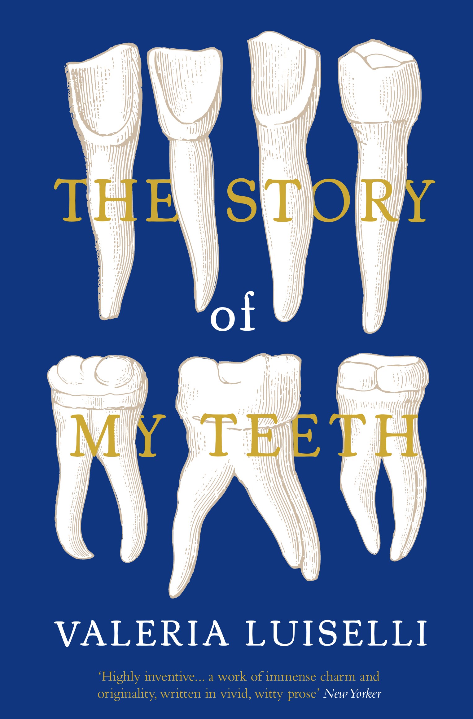 

The Story of My Teeth