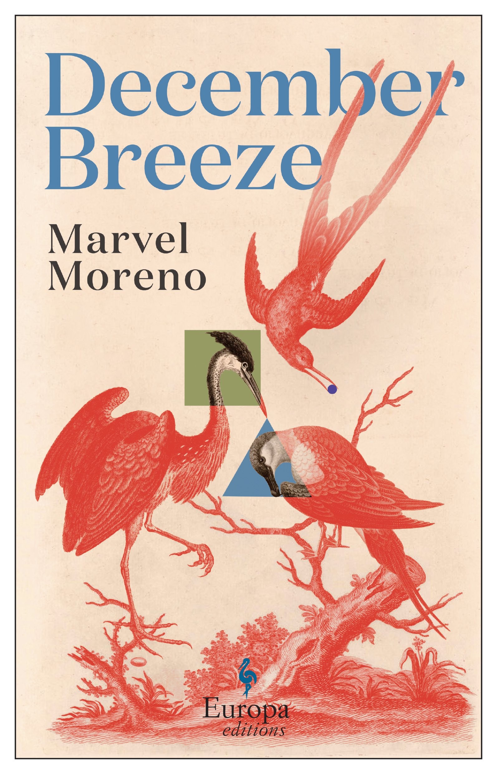 

December Breeze