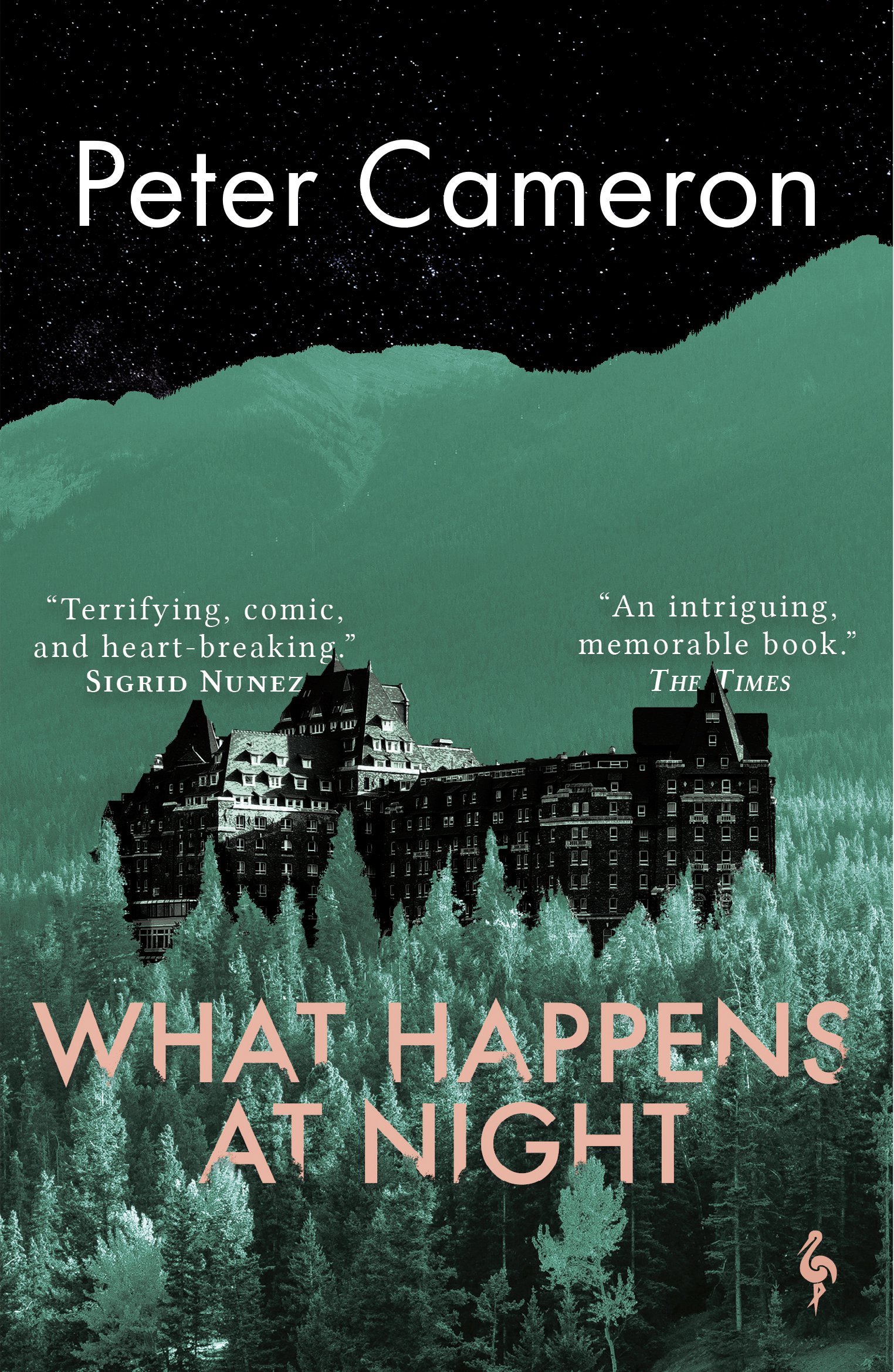 

What Happens at Night