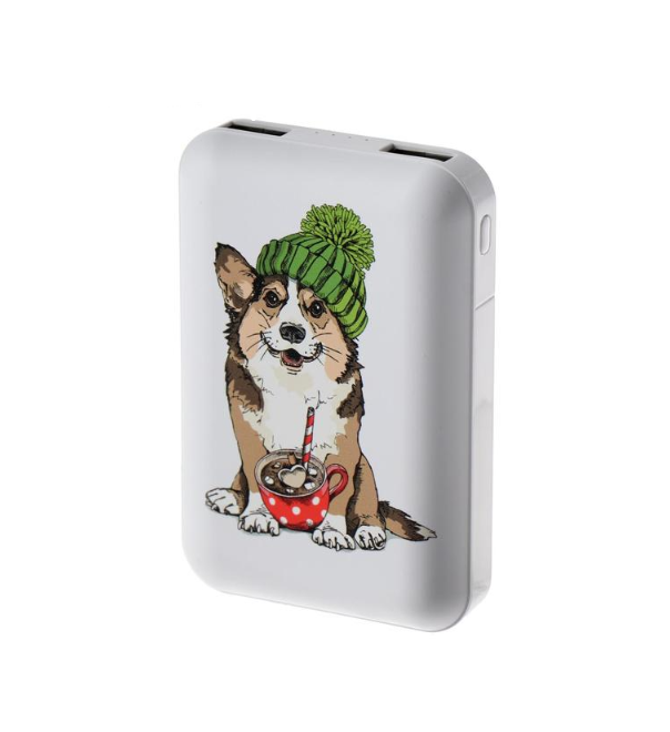 

Внешний аккумулятор Ritmix RPB-10007, 10000 мАч, 2хUSB, 2.1 А, корги