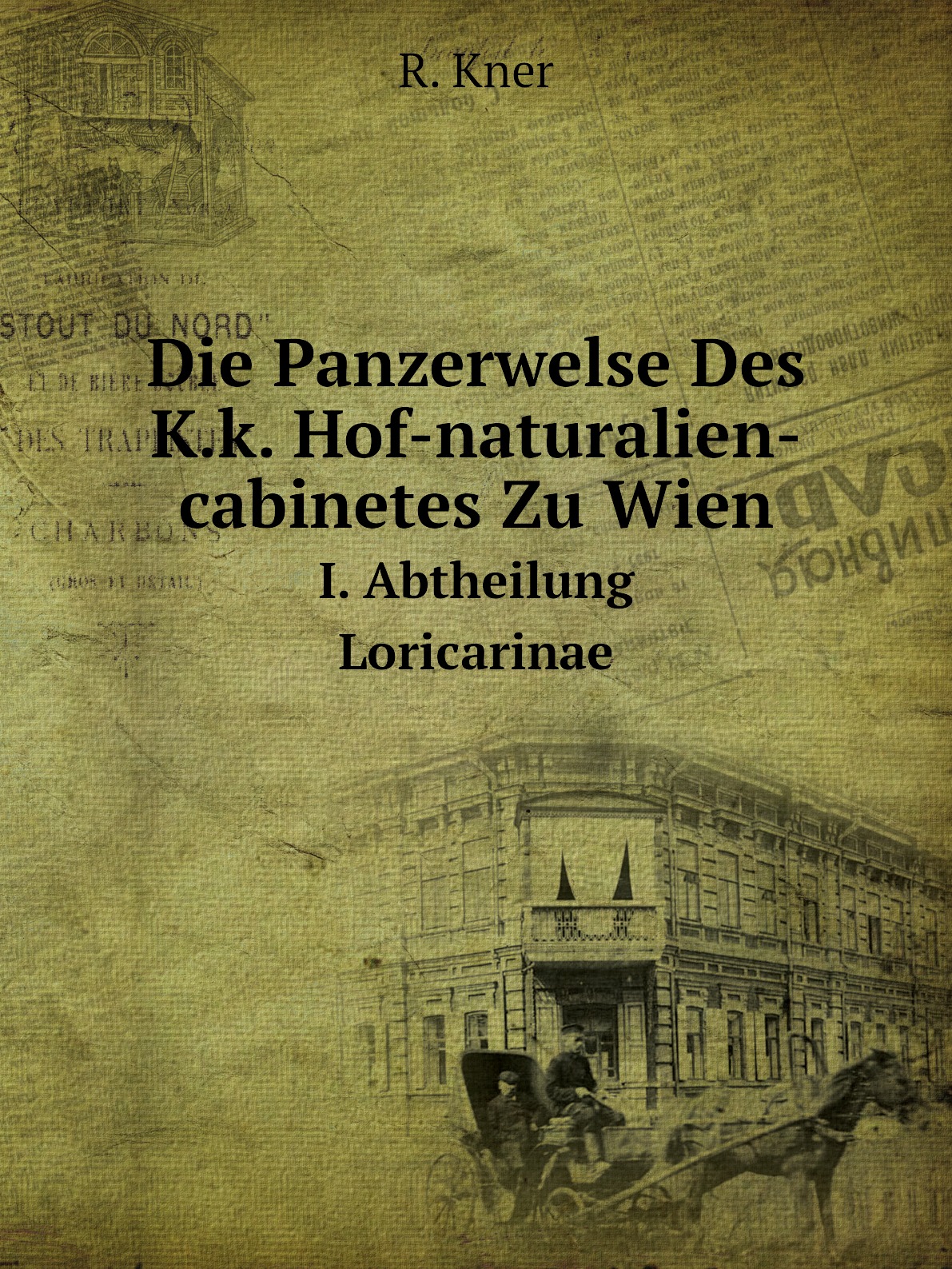 

Die Panzerwelse Des K.k. Hof-naturalien-cabinetes Zu Wien