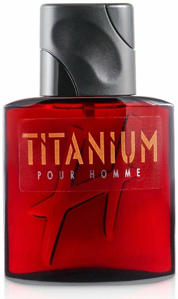 Туалетная вода Daniel Hechter Titanium Pour Homme 75 мл детские флисовые перчатки daniel hechter