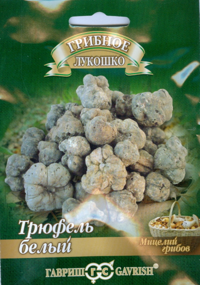 

Семена. Трюфель белый "Российский" на зерновом субстрате