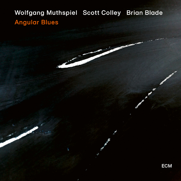 

Wolfgang Muthspiel, Scott Colley, Brian Blade ‎/ Angular Blues (CD)
