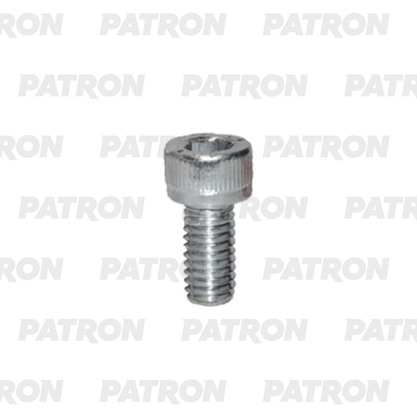 

PATRON P37-3194T Болт металлический болт Imbus M6X12, белый 10шт