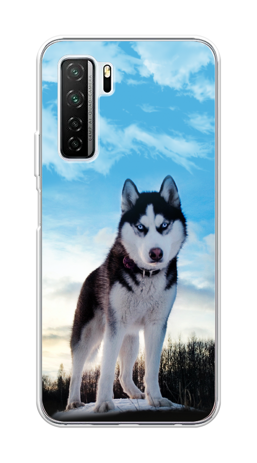 

Чехол Awog на Honor 30S (Global) "Хаски 3", Белый;черный;голубой, 6102850-2