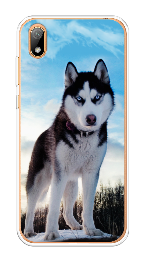 

Чехол Awog на Honor 8S "Хаски 3", Белый;черный;голубой, 69150-2