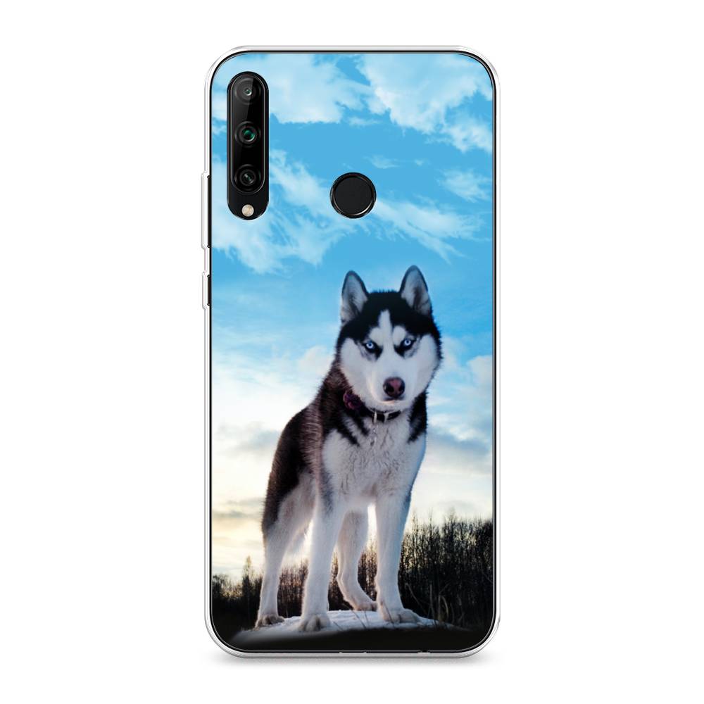 

Чехол Awog на Honor 9C "Хаски 3", Белый;черный;голубой, 612550-2
