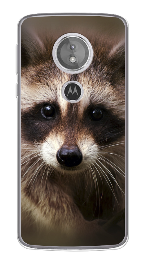 

Чехол Awog на Motorola Moto G6 Play / Моторола Мото G6 Плэй "Енот", Разноцветный, 240950-1