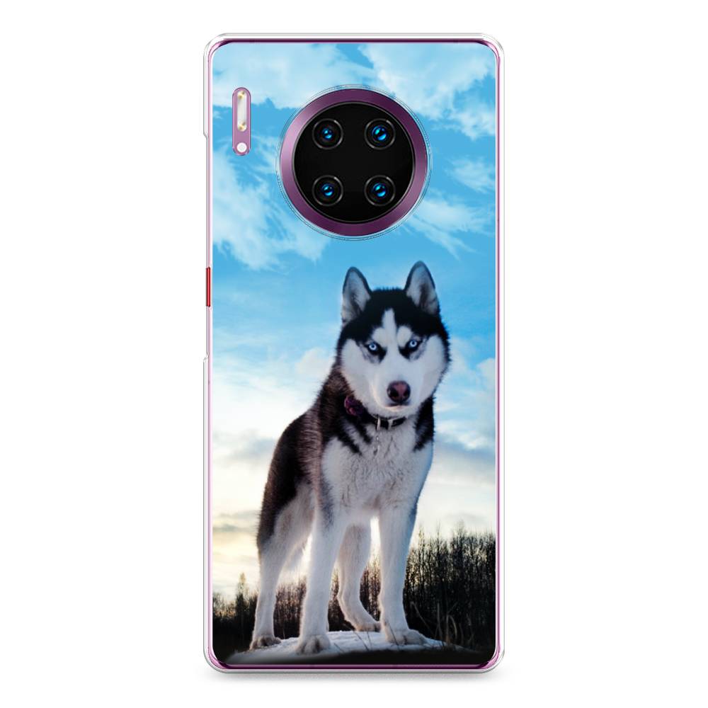 Чехол Awog  на Huawei Mate 30 Pro 