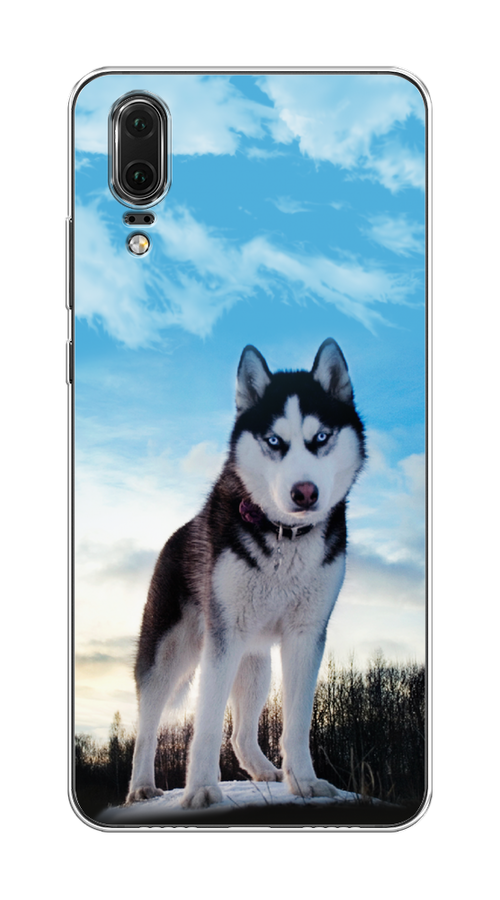 

Чехол Awog на Huawei P20 "Хаски 3", Белый;черный;голубой, 64350-2