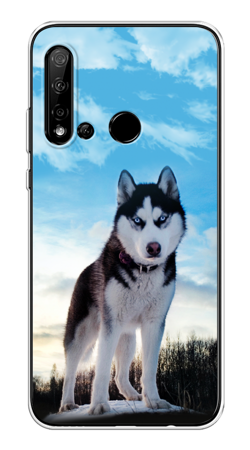 

Чехол Awog на Huawei P20 lite 2019 "Хаски 3", Белый;черный;голубой, 69750-2