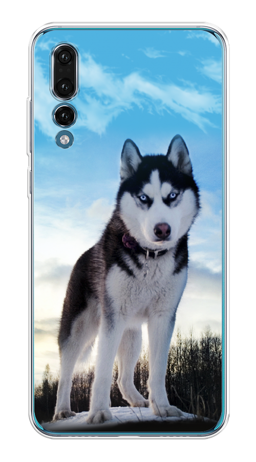

Чехол Awog на Huawei P20 Pro "Хаски 3", Белый;черный;голубой, 65050-2