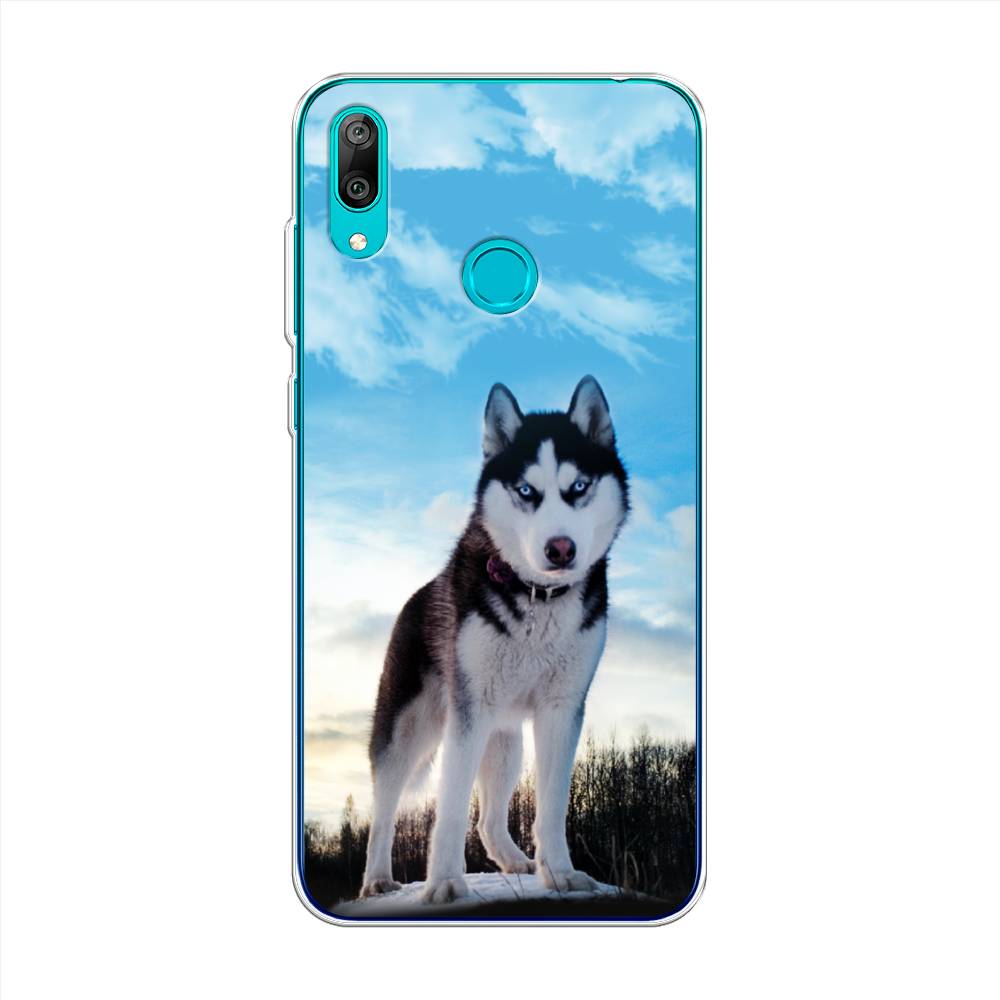 

Чехол Awog на Huawei Y7 2019 "Хаски 3", Белый;черный;голубой, 68450-2