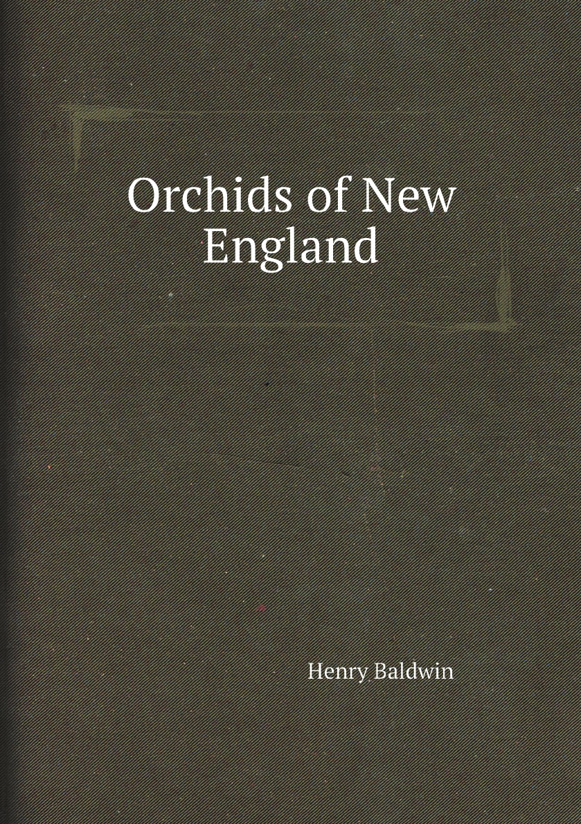 

Orchids of New England