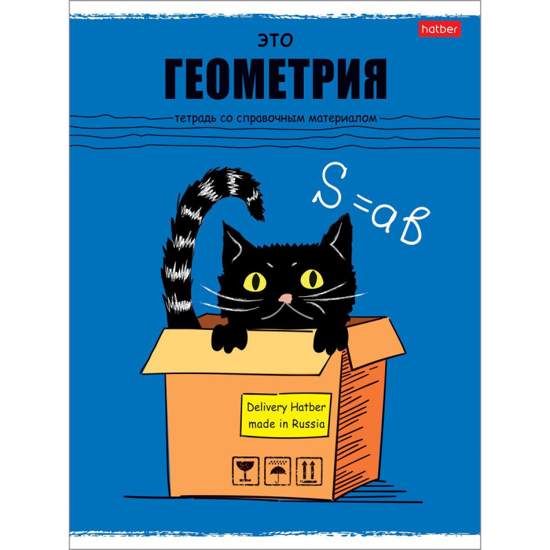 

Тетрадь предметная А5,48л,Черный кот ГЕОМЕТРИЯ 073104, (4шт.)