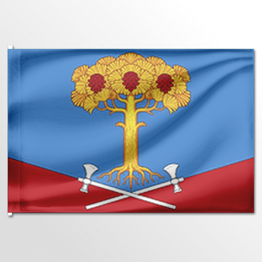 

Флаг ЦТП ФЕНИКС Сосновского сельского поселения 135x90 см, 7561-135x90