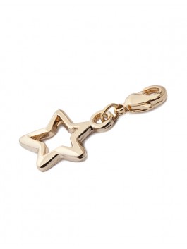 

Брелок женский ELEGANZZA 01-00012704 золотой, Золотистый, 01-00012704