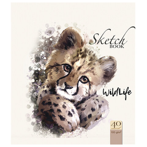 

Скетчбук, белая бумага 120 г/м2, 170х195 мм, 40 л., гребень, фольга, выборочны