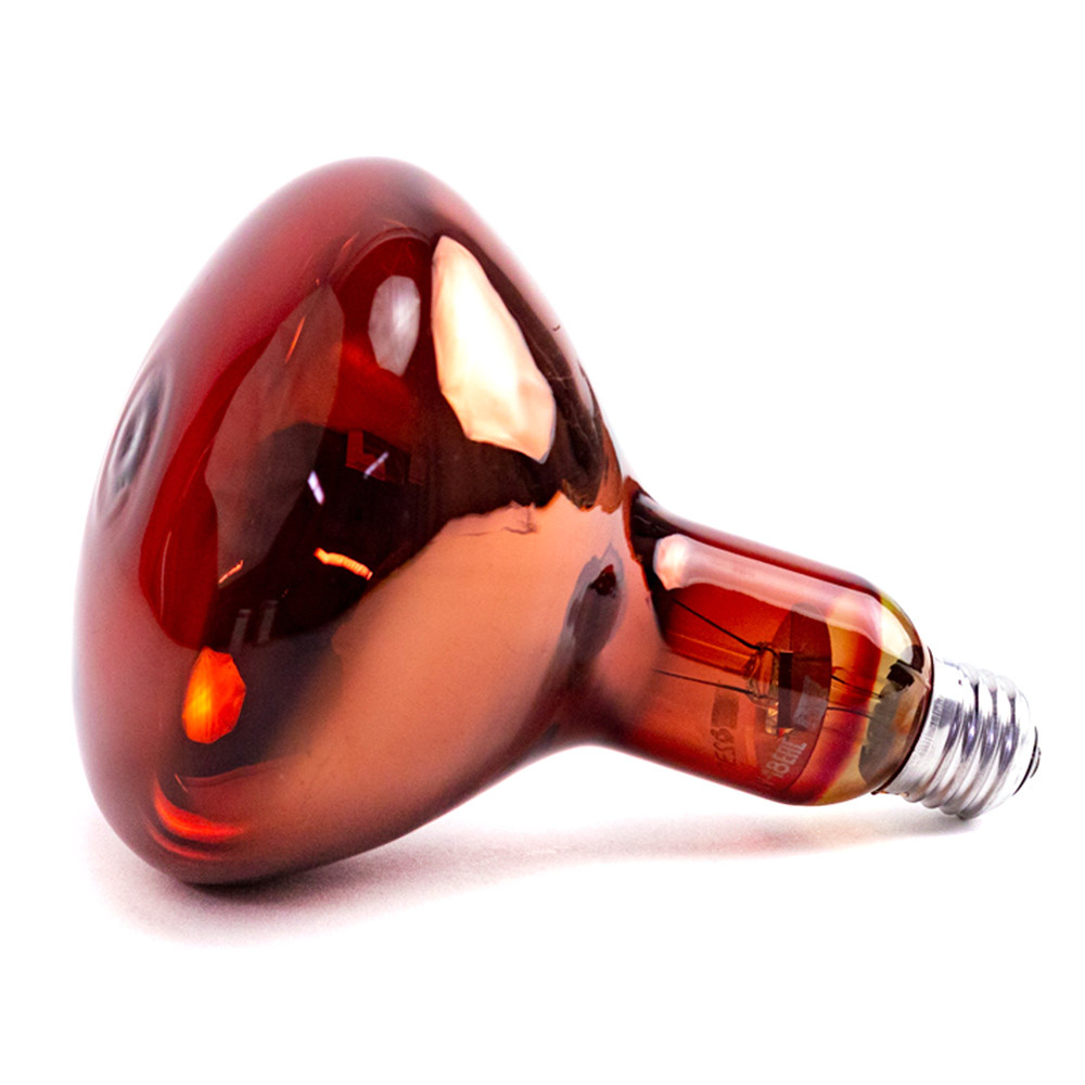 фото Лампа накаливания инфракрасная зеркальная икзк 250вт зк 220-250 e27 цв. красная(гофра) | к калашниково