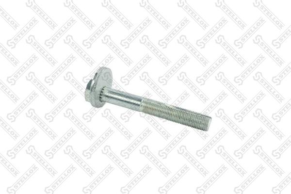

79-01101-SX_болт с эксцентрикомрегулировочный Mazda 3/5/Axela/CX-7 03>