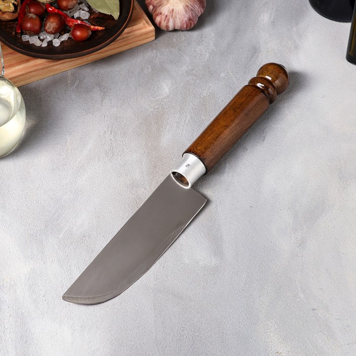 Нож для шашлыка TAS-PROM 30 см, длина лезвия 15 см, Армения