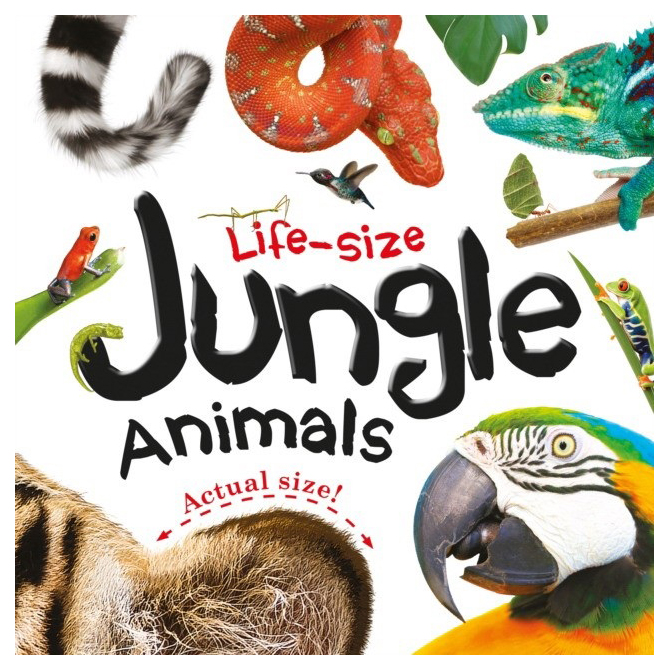 

Life-size: Jungle Animals