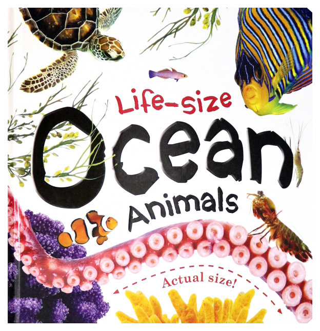 

Life-size: Ocean Animals