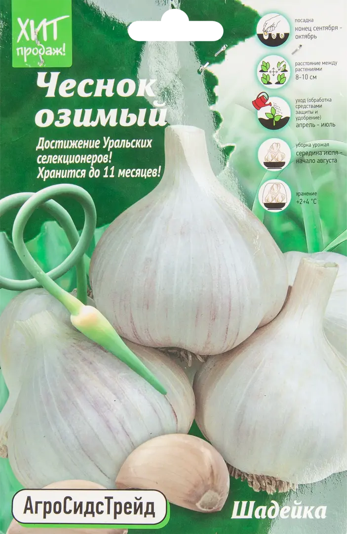 

Чеснок озимый Шадейка 7 шт АСТ