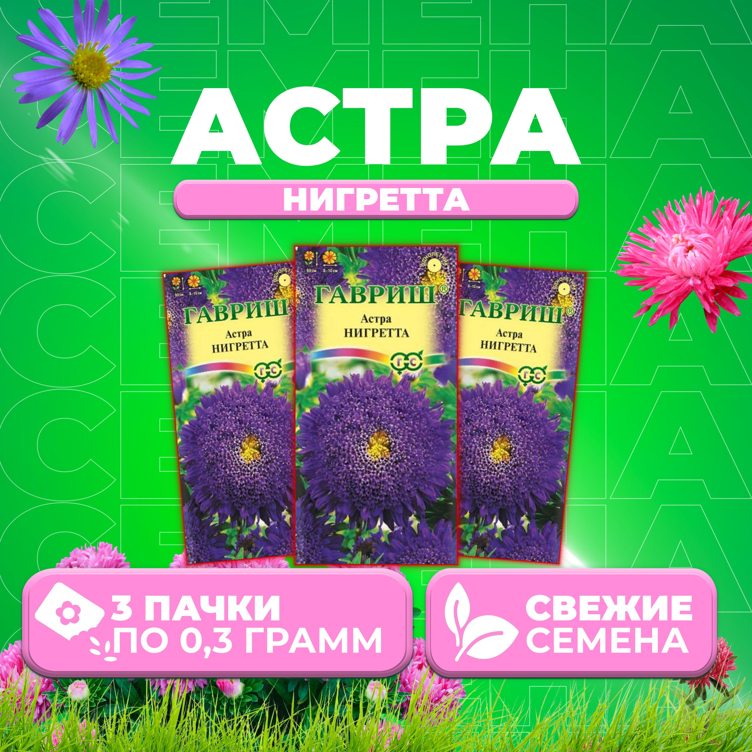 

Семена Астра Нигретта, принцесса, 0,3г, Гавриш, Цветочная коллекция 3 уп