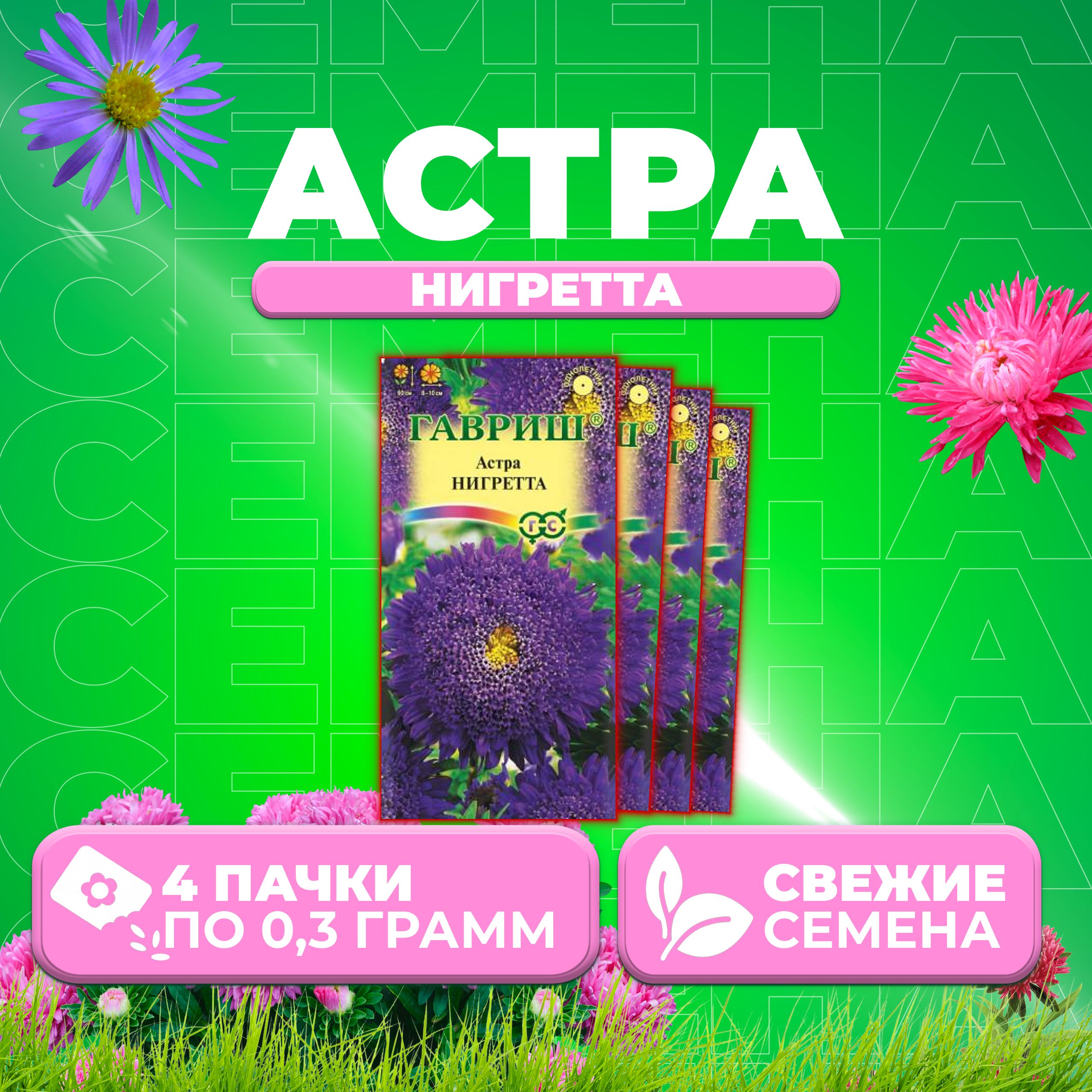 

Семена Астра Нигретта, принцесса, 0,3г, Гавриш, Цветочная коллекция 4 уп