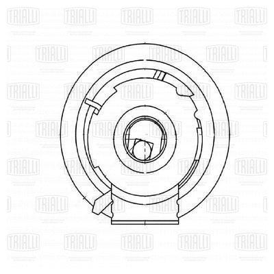 

Ролик ГРМ натяж. для а/м VW Passat (05-) 2.0 (CM 6055) Trialli cm6055