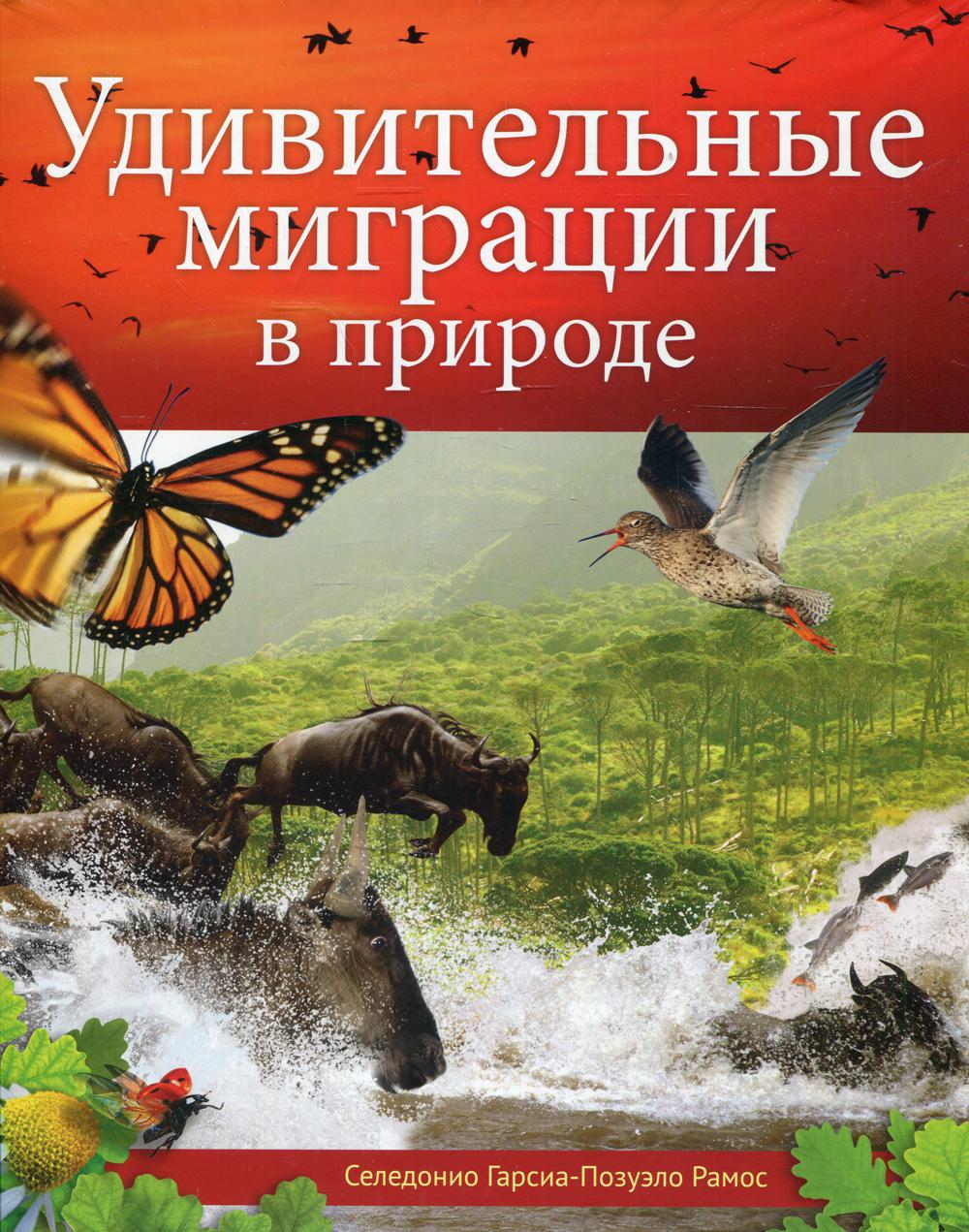 фото Книга удивительные миграции в природе источник жизни