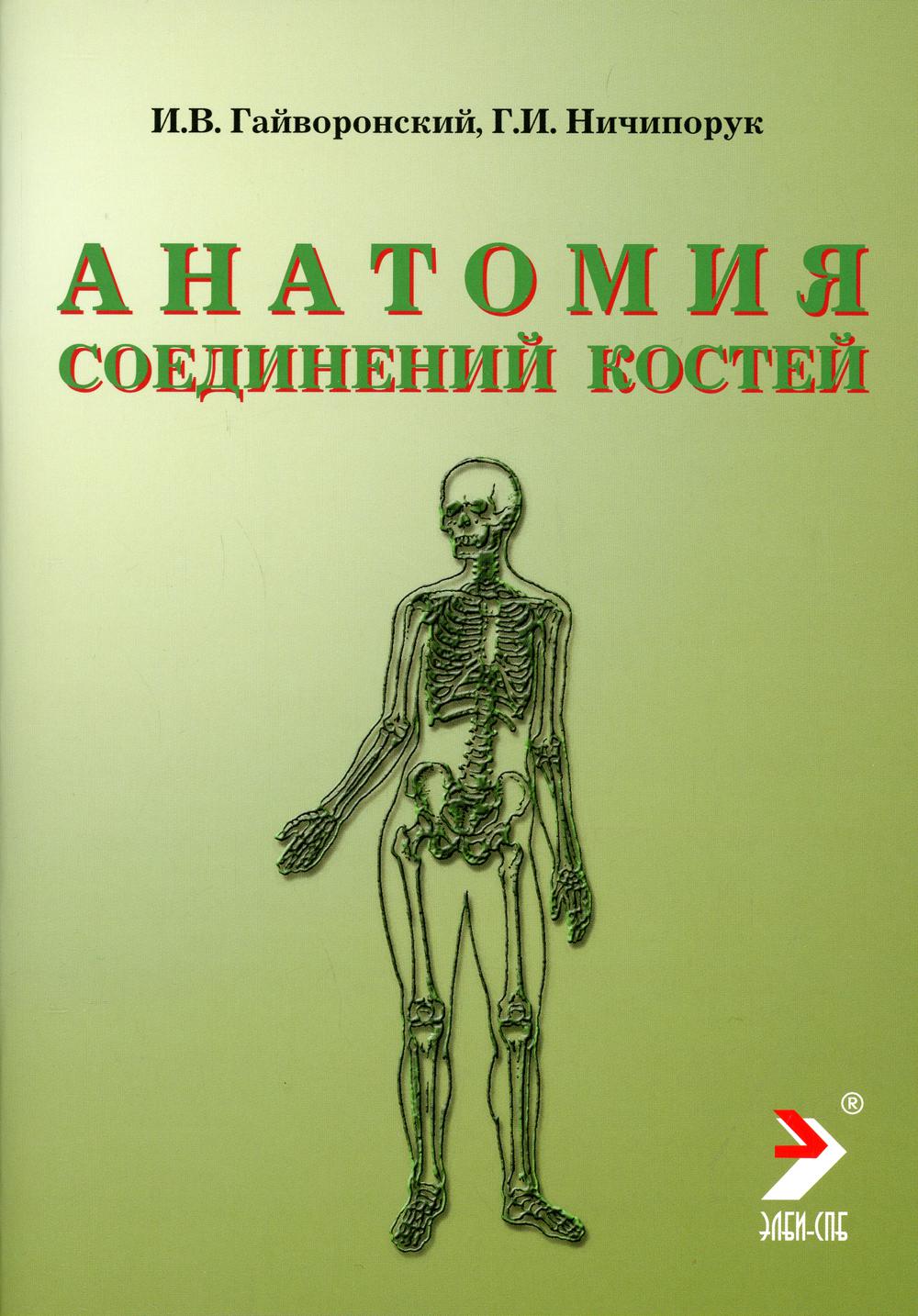 

Анатомия соединений костей