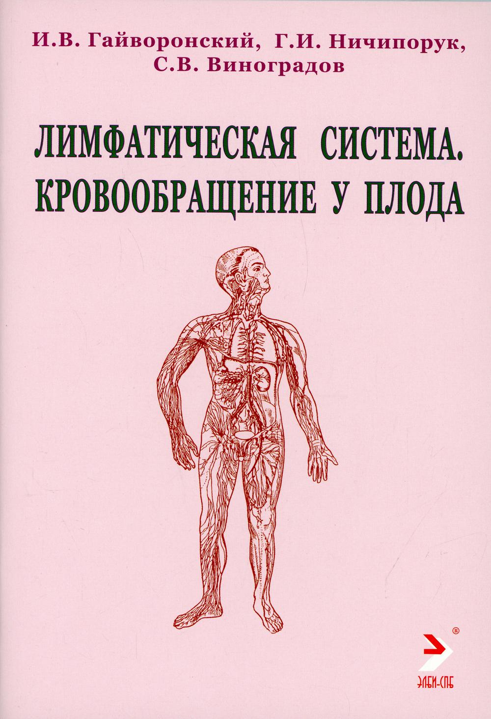 

Лимфатическая система. Кровообращение у плода
